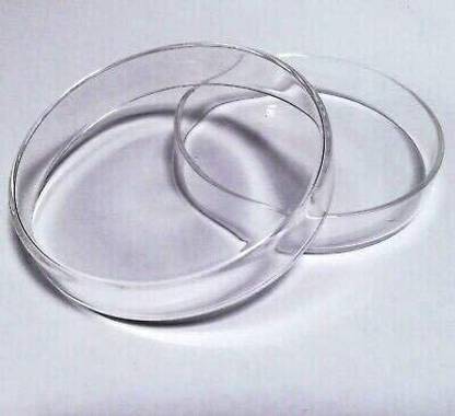 the first lab Glass Reusable Petri Dish