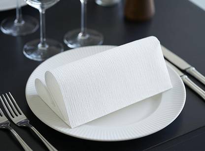 Duni soft white 40x40cm 1pack x 60napkins White Paper Napkins