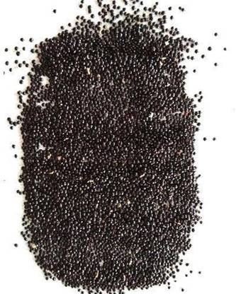 LYRS Red Choulai (Amaranth ) Seed