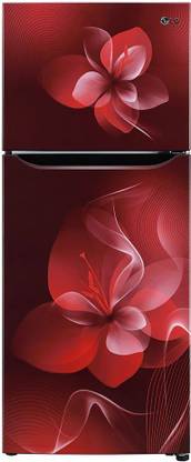 LG 242 L Frost Free Double Door 2 Star Refrigerator