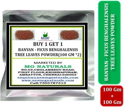 MGBN (BUY 1 GET 1) BANYAN - FICUS BENGHALENSIS TREE LEAVES POWDER- (100 GM *2)