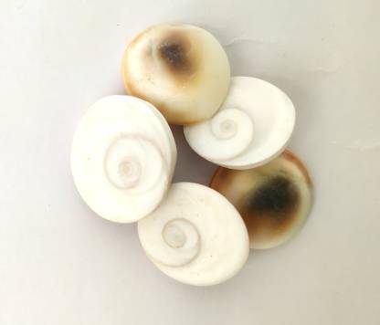 Cadence GOMATI CHAKRA Decorative Showpiece  -  2 cm