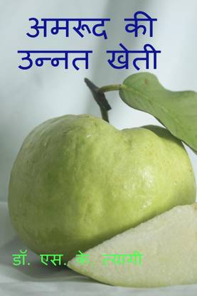 Improved Cultivation of Guava / अमरूद की उन्नत खेती