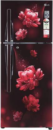 LG 260 L Direct Cool Double Door 2 Star Refrigerator