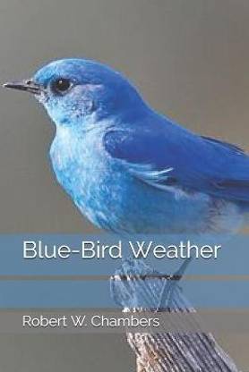 Blue-Bird Weather