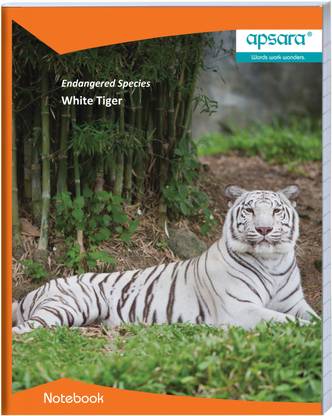 APSARA White Tiger 18 x 24 cm Book-size Notebook DL 172 Pages