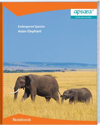 APSARA Asian Elephant 18 x 24 cm Book-size Notebook Single Line 172 Pages