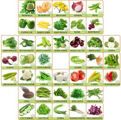 FLARE SEEDS 45 Variety Of Vegetable Home Garden Seeds Seed