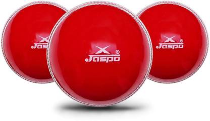 Jaspo T-20 Cricket Ball Soft Cricket Training Ball