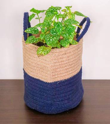 Trellis Bliss Jute Rope Ornamental Plant Pot Plant Container Set