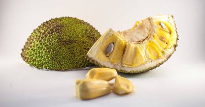 Sjeme Jackfruit Seed
