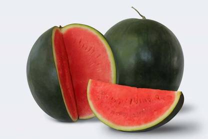 terton Watermelon Seed