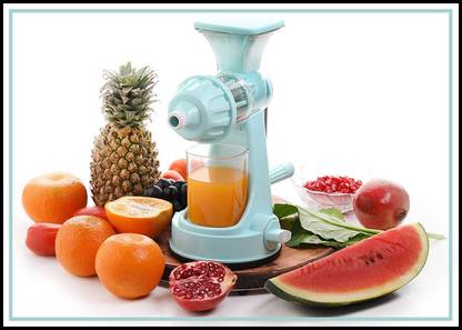 Black Camel Steel, Plastic Extreme Fruit and Vegetable Juicer (Skyblue) Hand Juicer