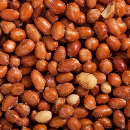 Agora Roasted Salted Peanut Gujrat Special (Namkeen Moongfali Dana) | Groundnuts - 250 Grams