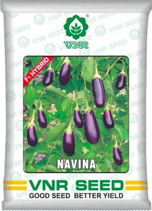 VNR Brinjal,HYBRID Seed