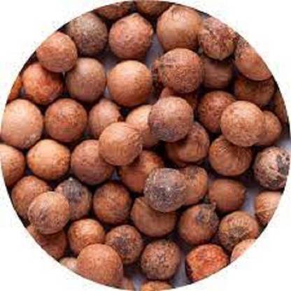 Sjeme Sandal Wood Seed