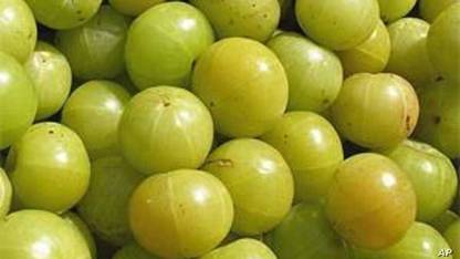 Sjeme Amla Seed Seed