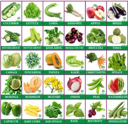 Greenery Hub Vegetable Seeds Combo 35 Varieties Combo Pack High ...