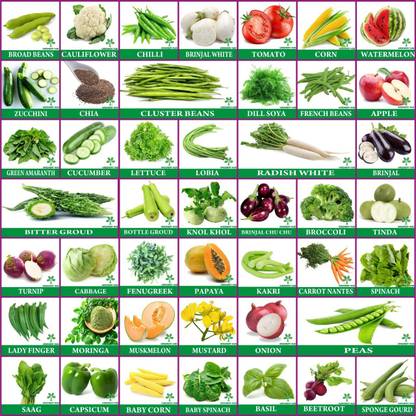 Greenery Hub 45 Varieties Vegetables Seeds Combo Seed