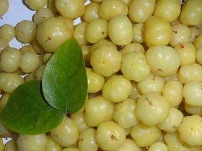 Sjeme Indian Gooseberry Seed Seed