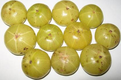Sjeme Dried Organic Aamla Seed Seed