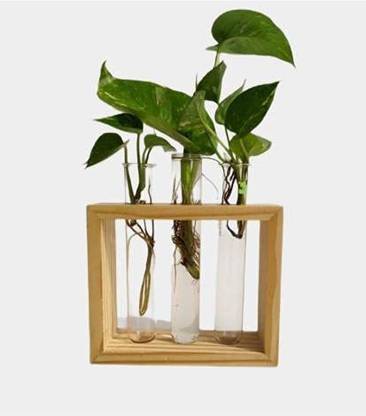 ALISHA HANDICRAAFTS Test Tube Planter Plant Container Set