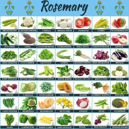 Rosemary Vegetables & Fruit Seeds Combo 50 Varieties In one Pack Grow Your Own Garden Seed