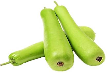 Greenery Hub Bottle Groud Seed