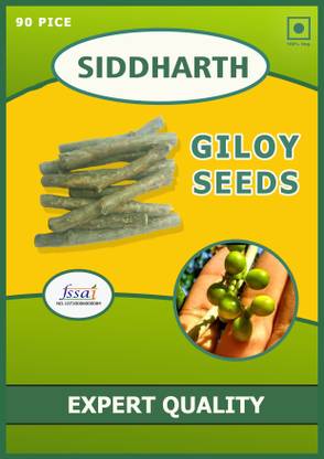 SIDDHARTH FISH FARM giloy seeds Seed