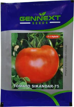 Gennext TOMATO Seed