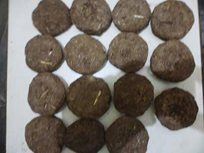 S N R GROUP COW DUNG CAKE