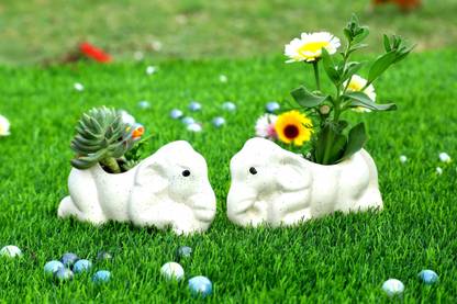 Jimkia Ceramic Planter Pot Chota White Hathi Shape for Home Decor Plant Not Included Plant Container Set