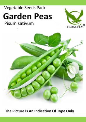 FERNSFLY Peas/Matar/Vegetable Seed Seed