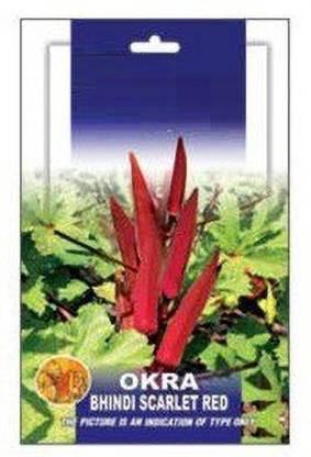 VibeX Okra seeds Seed