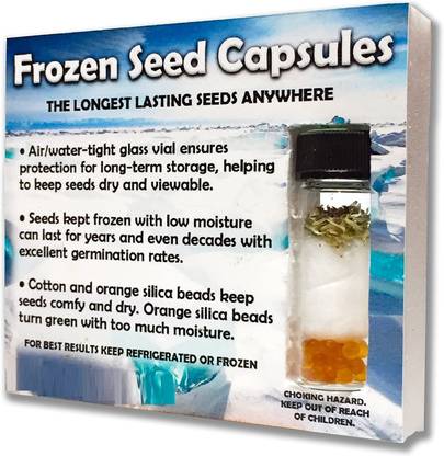 VibeX Lettuce Seed