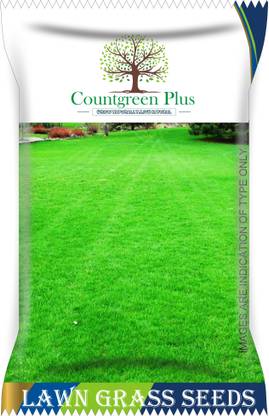 Countgreen Plus Lawn Grass (Durva, Doob Ghaas) Seeds 10gm Seed