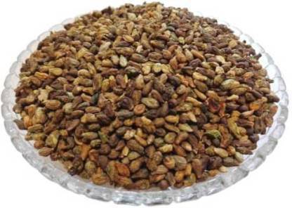 NaturePlanet SHIVLINGI Seed