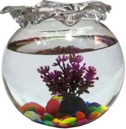 SAVORADE Glass Fish Tank for Small Betta Fish & Plants jhallar_10 (10 INCH) Round Ends Aquarium Tank