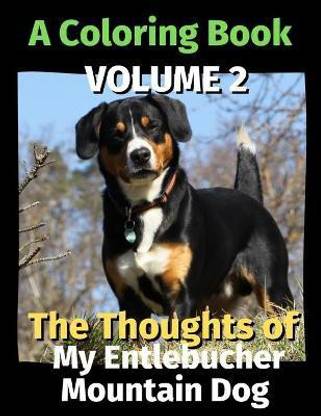 The Thoughts of My Entlebucher Mountain Dog