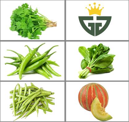 GRO GOLDEN SEEDS Spinach (Palak), Chilly(Hari Mirchi), Corianders (Dhaniya), Cluster Beans (Guar musk, Phalli), Musk Melon (Kharbuja) Seed