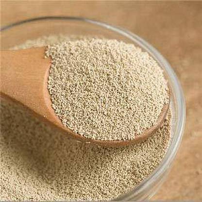 Muchmore Gourmet Dry yeast 900 Gram Yeast Powder