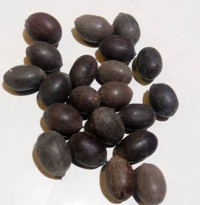 HAWAN KAMAL GATTA G 154 kamalgatta 21 pics