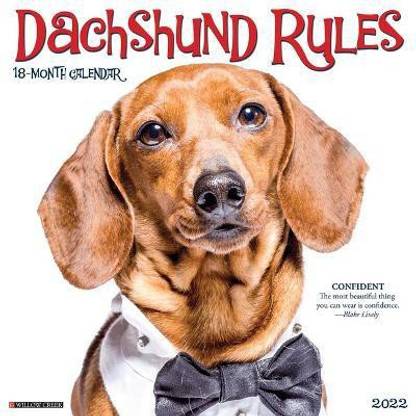 Dachshund Rules 2022 Wall Calendar (Dog Breed)