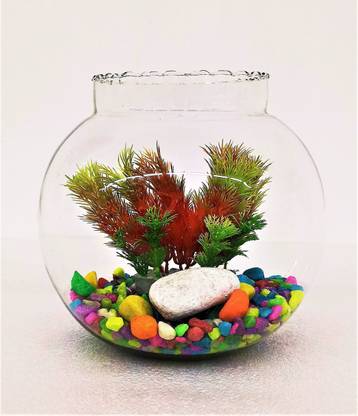 R S Light 2 L Fish Bowl