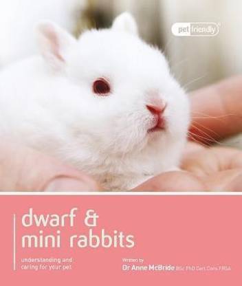Dwarf Rabbit - Pet Friendly