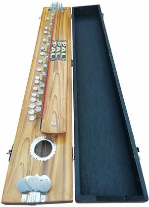 PAL MUSIC HOUSE 0080Jm MUSIC HOUSE3 ft Bulbul Tarang (Indian Banjo) Digital Portable Keyboard