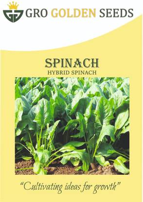 GRO GOLDEN SEEDS spinach seeds, palak seeds, palak ka beej Seed