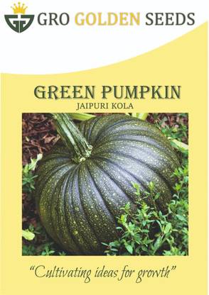 GRO GOLDEN SEEDS pumpkin seeds, kadu seed, kaddoo ke beej, kadoo seeds, petha seeds Seed