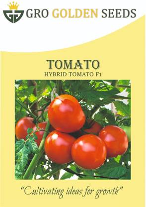 GRO GOLDEN SEEDS tomato seeds packet, tamatar ka beej Seed