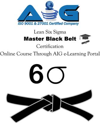 AIG Lean Six Sigma Master Black Belt